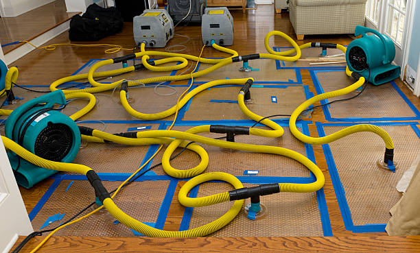 Professional Sewage Cleanup technician working in Etna, OH